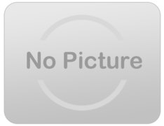 12 inch wooden rounds